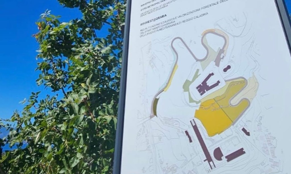 “Riforest@graria”: al via i Seminari sui Benefici della Forestazione Urbana
