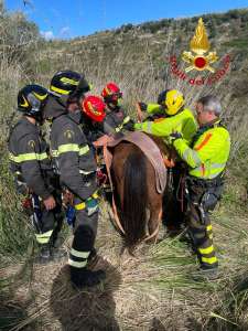 salvataggio cavallo vigili del fuoco