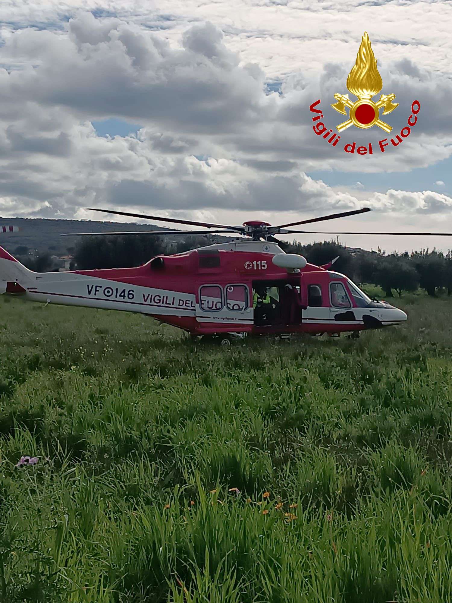 salvataggio cavallo vigili del fuoco