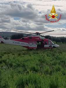 salvataggio cavallo vigili del fuoco