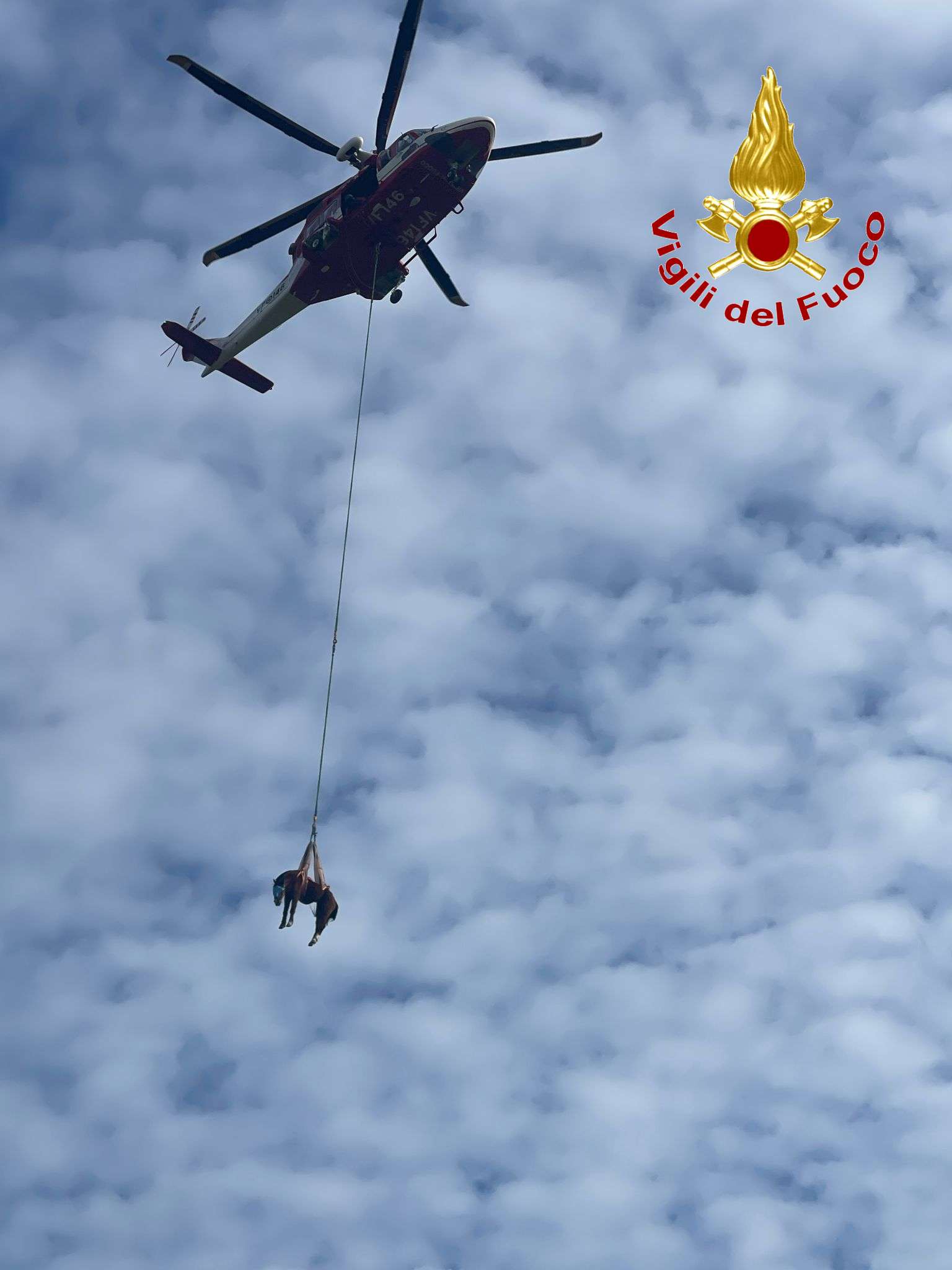 salvataggio cavallo vigili del fuoco