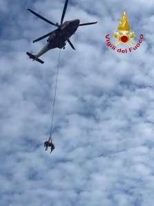 salvataggio cavallo vigili del fuoco