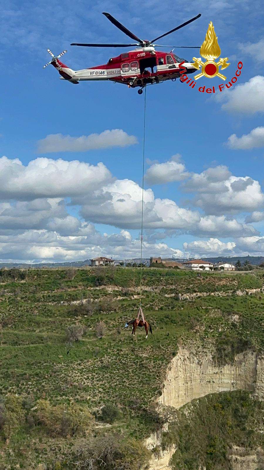 salvataggio cavallo vigili del fuoco