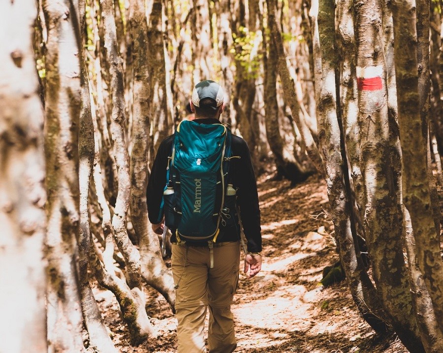 Parco Aspromonte Sentiero Calabria ()