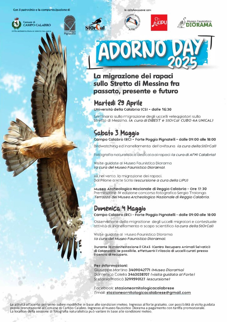 Programma Adorno day