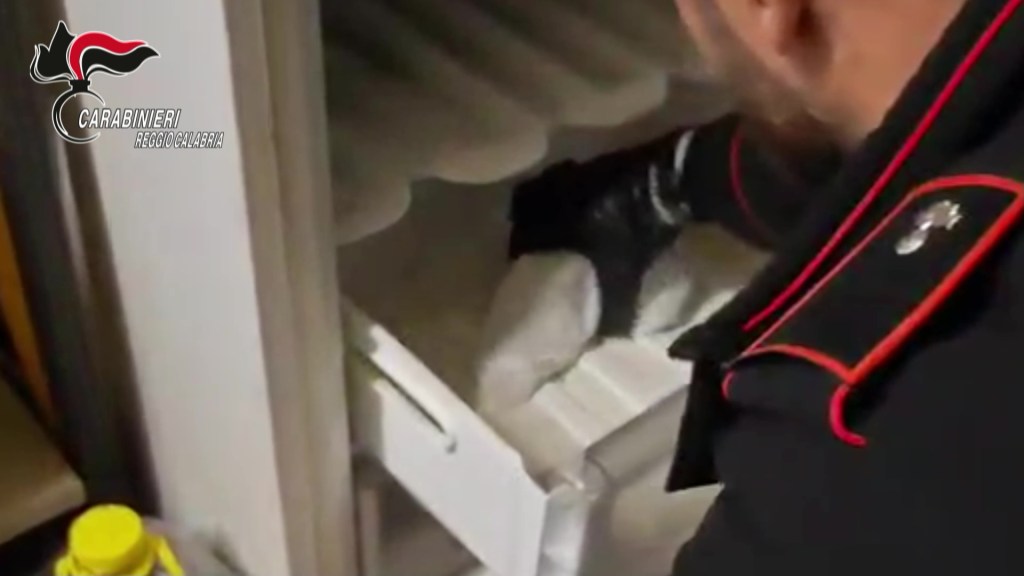 Cinquefrondi: deteneva una pistola clandestina nascosta nel freezer. Arrestato 55enne