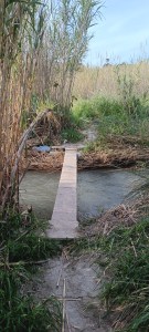 denuncia degrado lungomare Gallico ()