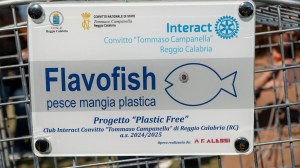 pesce mangiaplastica