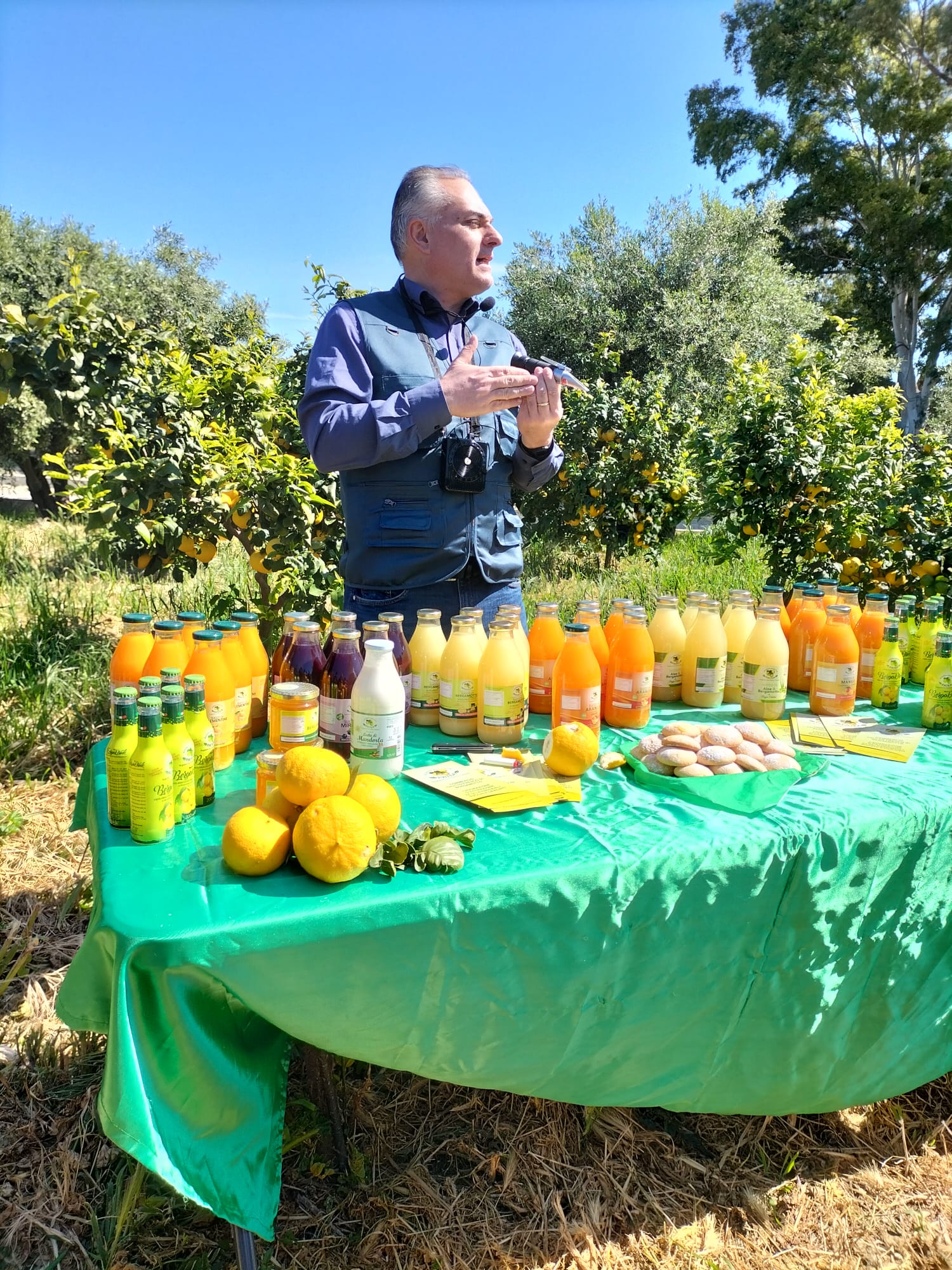 plants play bergamotto ()