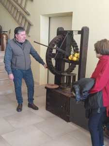 plants play bergamotto ()