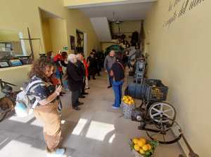 plants play bergamotto ()