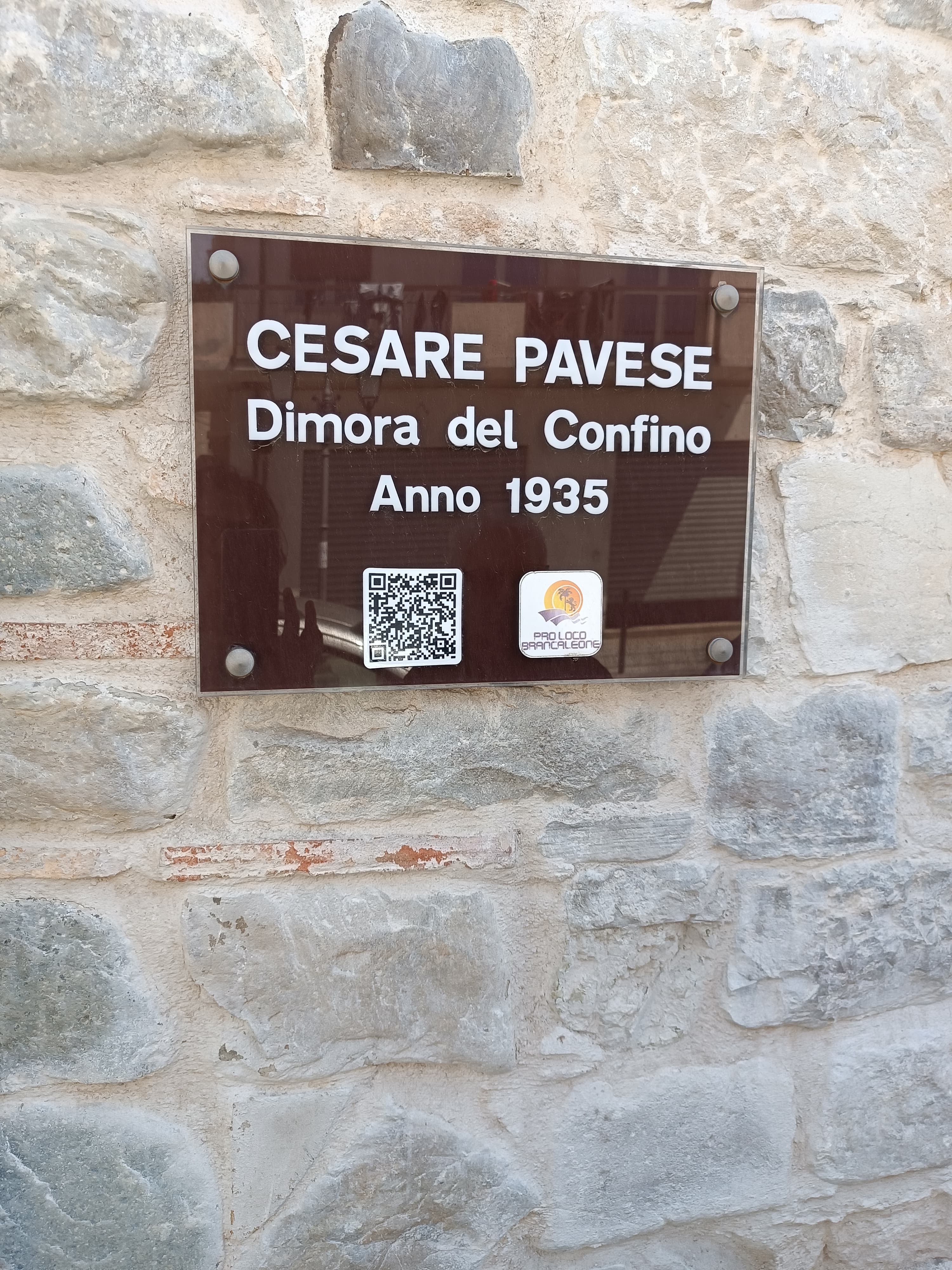 plants play bergamotto ()