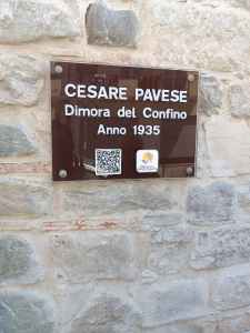 plants play bergamotto ()