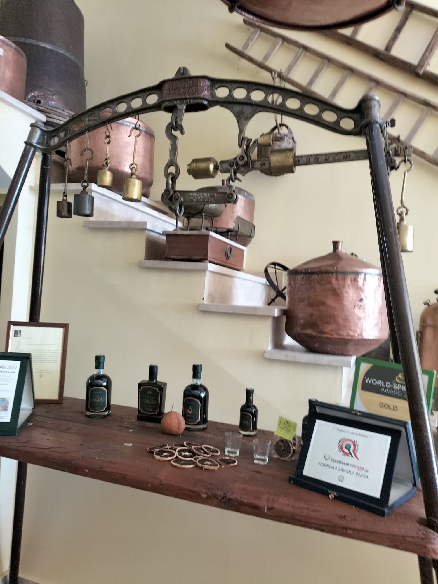 plants play bergamotto ()