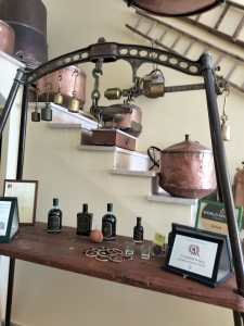 plants play bergamotto ()