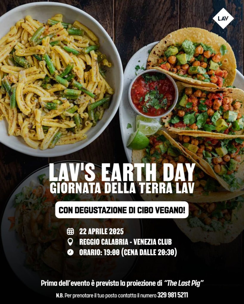 reggio lav terra copia