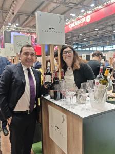 vinitaly metrocity