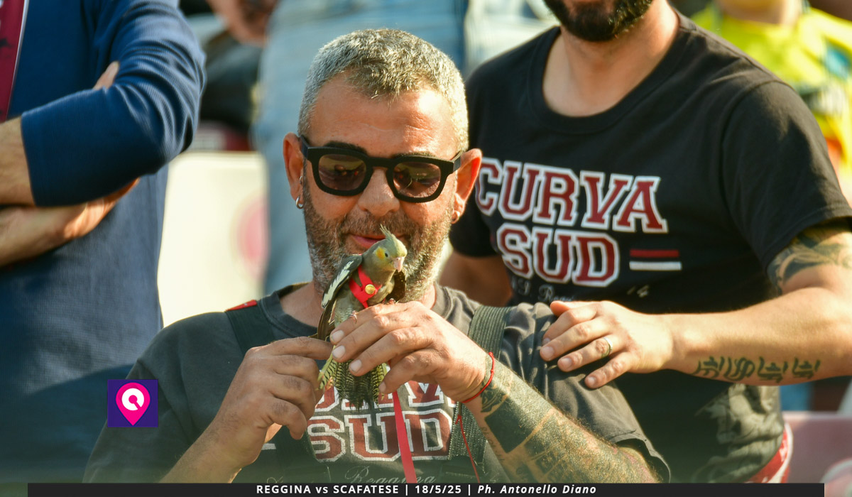 Reggina Scafatese ()