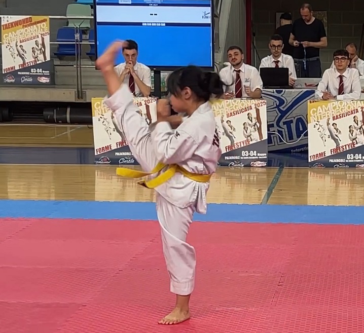 Taekwondo Academy Sport Center