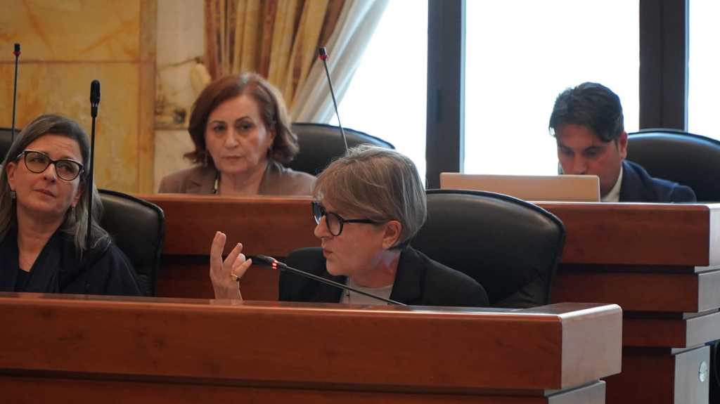 incontro strategia snai