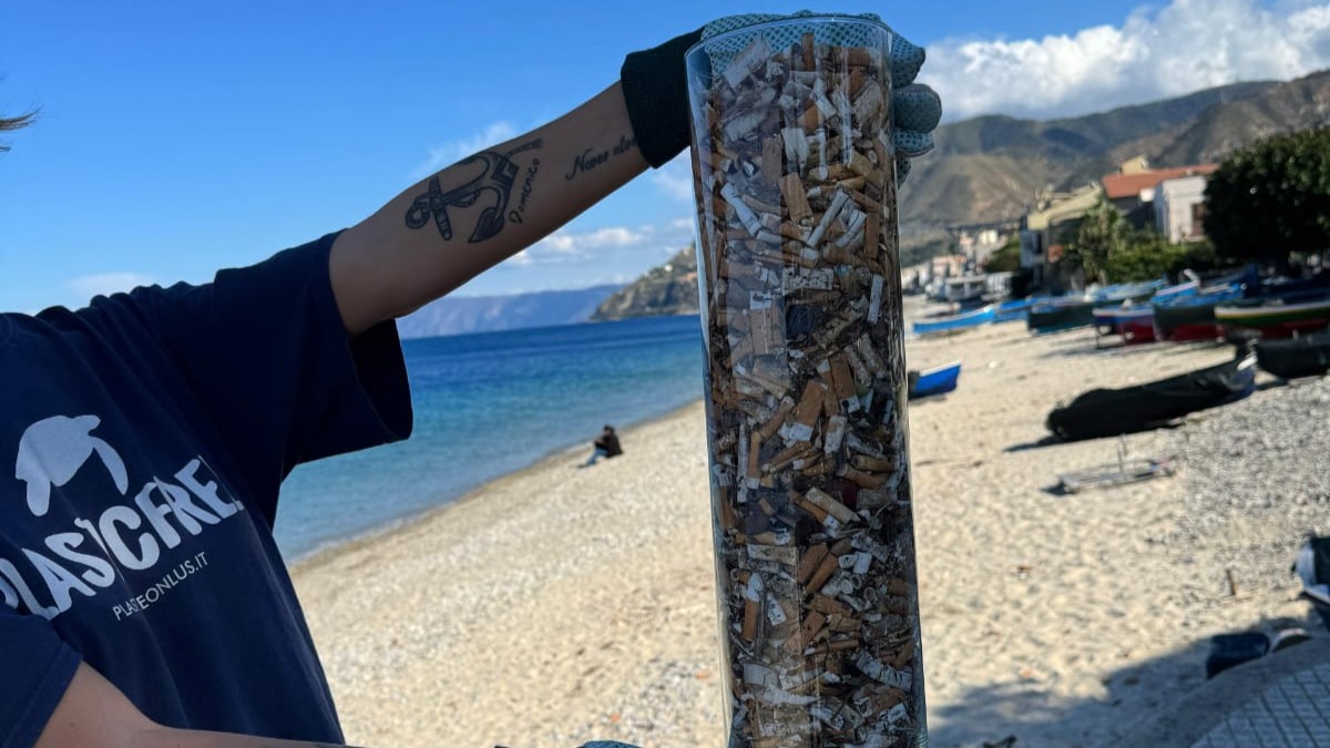 plastic free