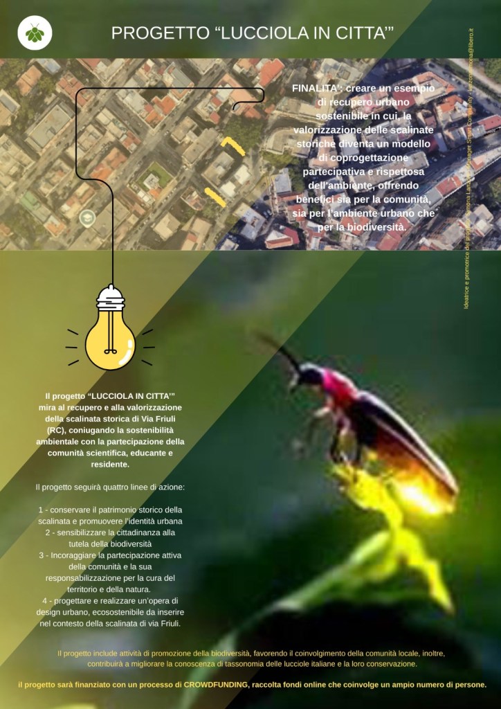 Progetto Lucciola in città
