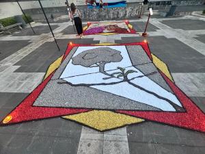 Terza Edizione Infiorata Villamesa di Calanna