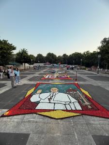 Terza Edizione Infiorata Villamesa di Calanna