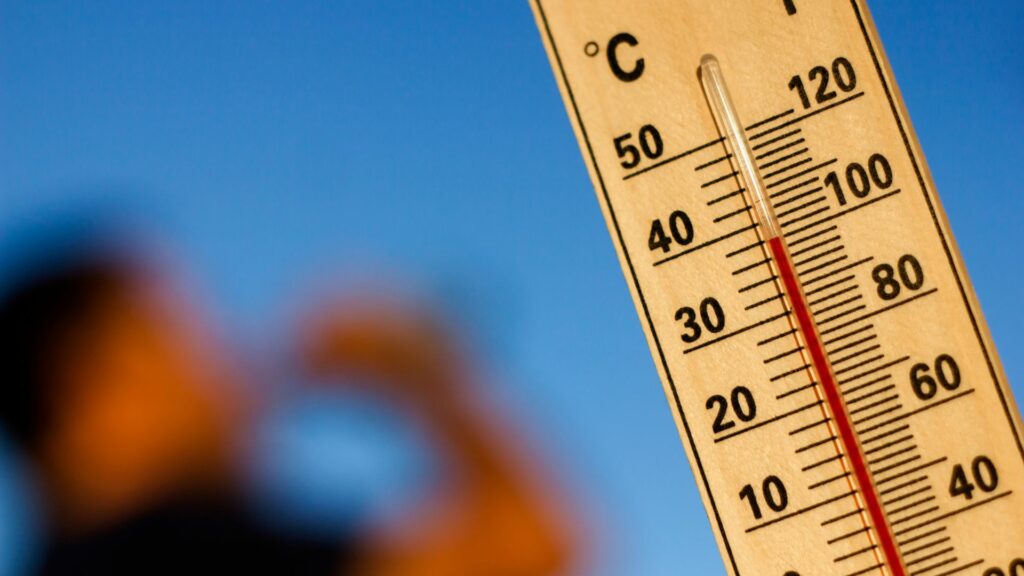 caldo x