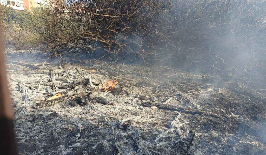 incendio campo baseball reggio calabria ()