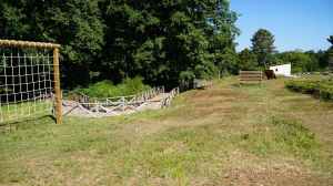 nuove attrazioni parco forge