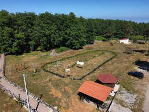 nuove attrazioni parco forge