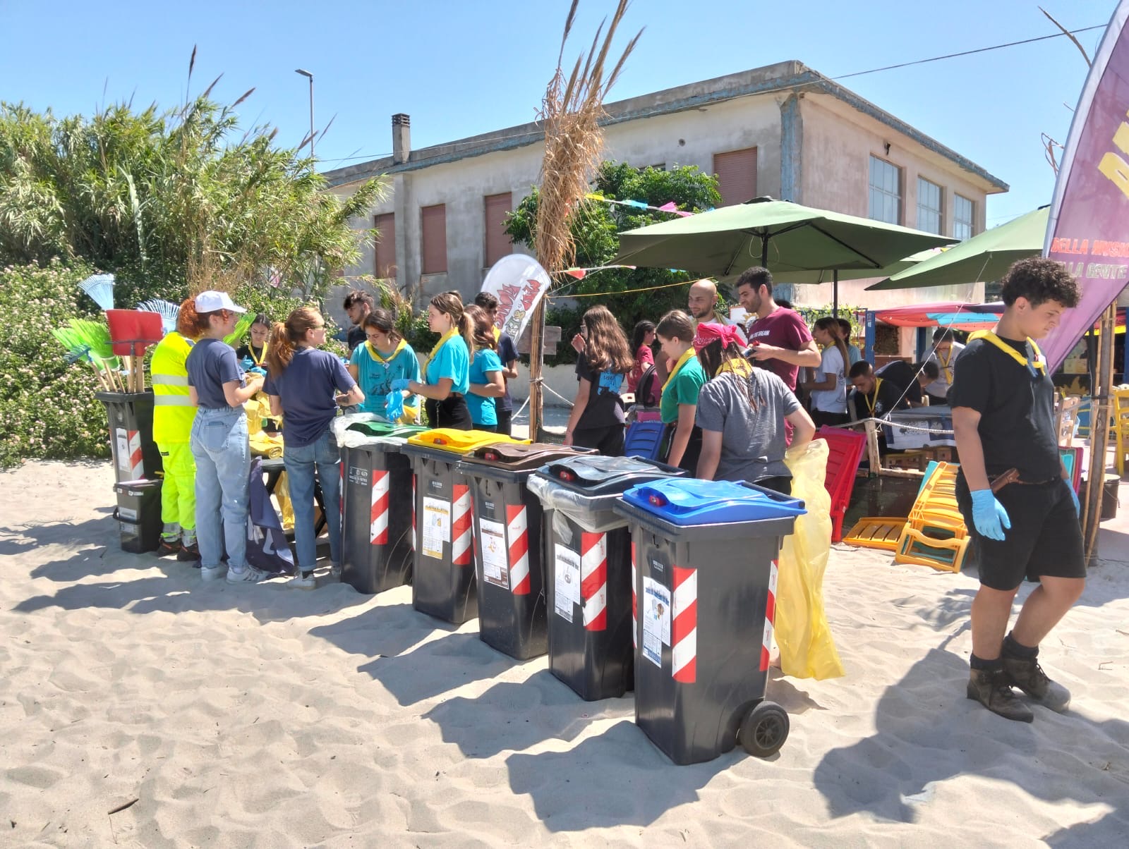 plastic free