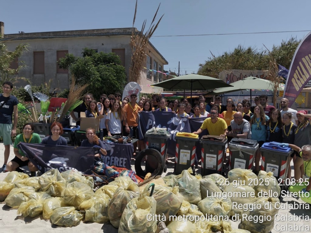 plastic free