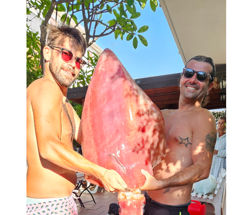 Reggio, pescato un calamaro gigante da 17 chili