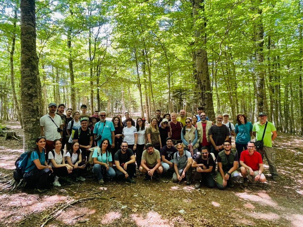 Aspromonte, escursione entusiasmante nella biodiversità tra farfalle, api e la preziosa Rosalia alpina