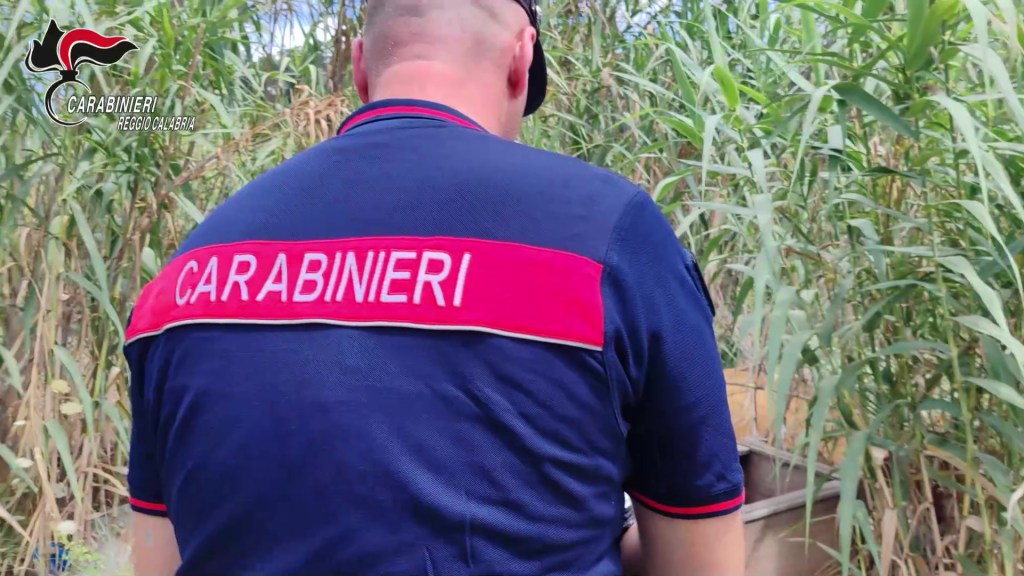 carabinieri ()