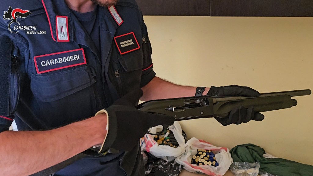 Reggio, droga nascosta fra le aiuole e in auto abbandonate: la scoperta dei Carabinieri