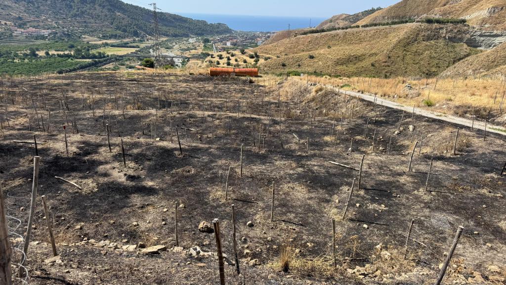 Incendio a Melito, Fuda: “In fumo l’80% dei 12 ettari recuperati. Ripartiremo”