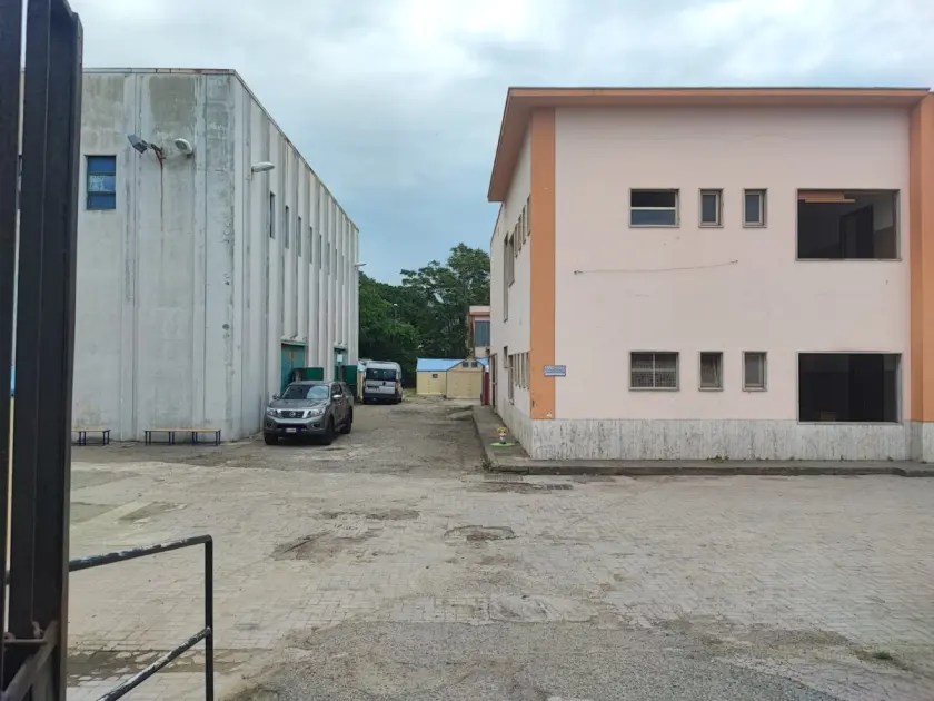 scuola boccioni migranti gallico
