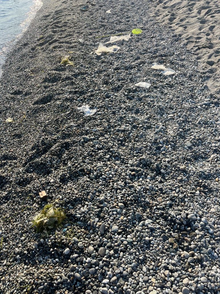sporcizia mare melito porto salvo ()