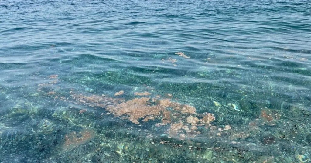 Calabria, Legambiente: “Per salvare il mare, stop al consumo di suolo”
