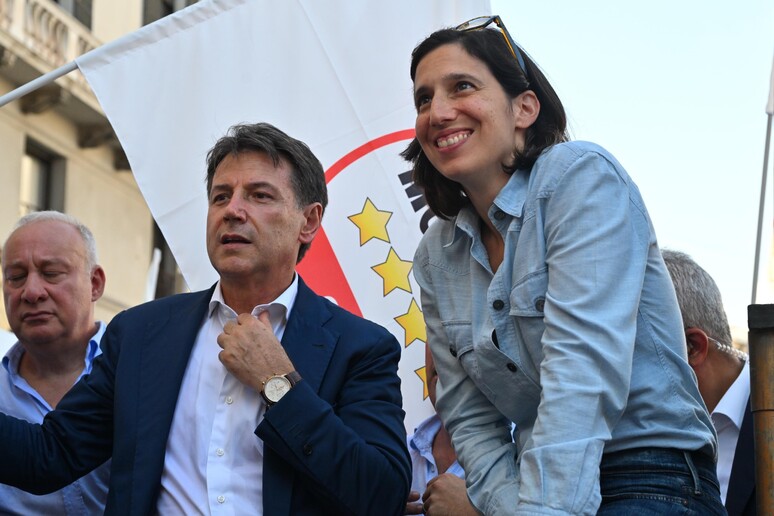 schlein conte