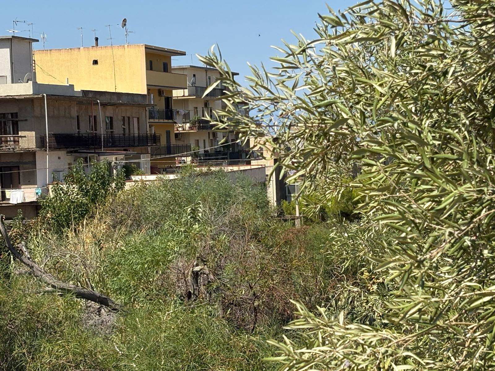 vallone lagani avs sopralluogo ()