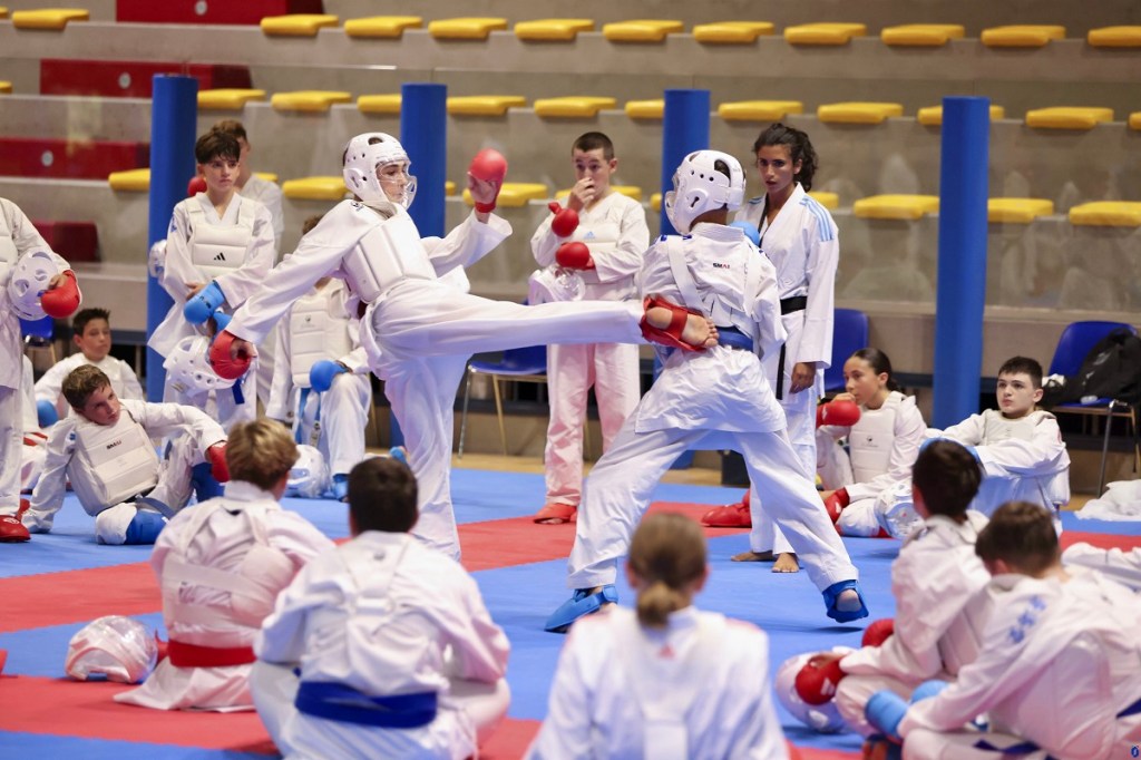 Fortitudo Karate