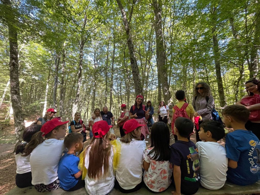 campo diabete gambarie ()