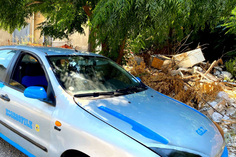 Degrado urbano e ambientale a Reggio, l’allarme delle guardie OIPA