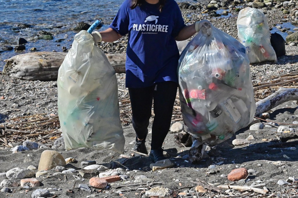 plastic free