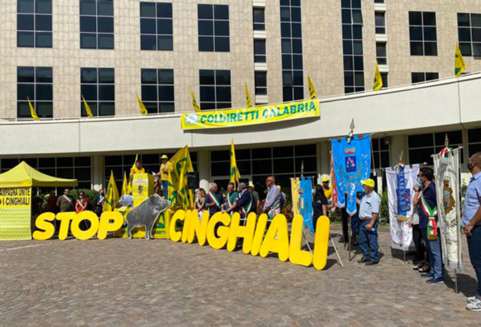 stop cinghiali alla cittadella ()