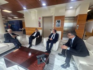 Anas A Gemme Occhiuto